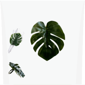 Porta Guardanapo Costela de Adão