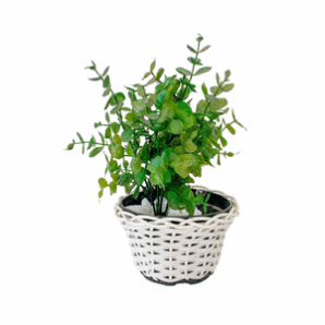 Vaso com Folhagem PP