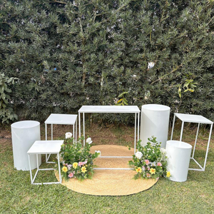 Kit Mobiliário + Tapete + flores de chão